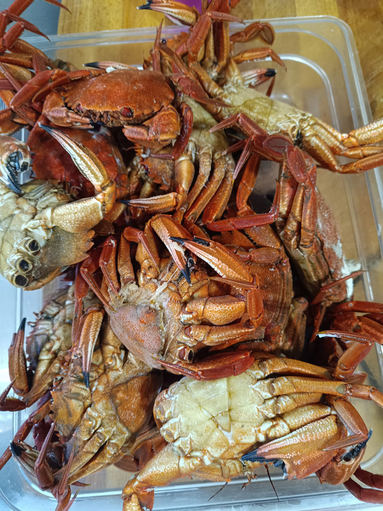 restaurante en Úbeda, tapería en Úbeda, tapería de mercado en Úbeda, tapas en Úbeda, restaurante de temporada en Úbeda, dónde comer en Úbeda, cocina de mercado en Jaén, tapas y raciones en Úbeda, restaurante bruki, bruki, bruky, restaurante en Úbeda centro, tapas en Úbeda casco histórico, bar-coctelería en Plaza de San Pedro Úbeda, cócteles en Úbeda casco antiguo, restaurante moderno Úbeda centro, restaurante lupone, lupone, Tiendas gourmet en Úbeda, delicatessen Úbeda, jamones ibéricos premium Úbeda, quesos artesanales Úbeda, embutidos ibéricos de calidad Úbeda, productos gourmet Jaén, hestia, estia