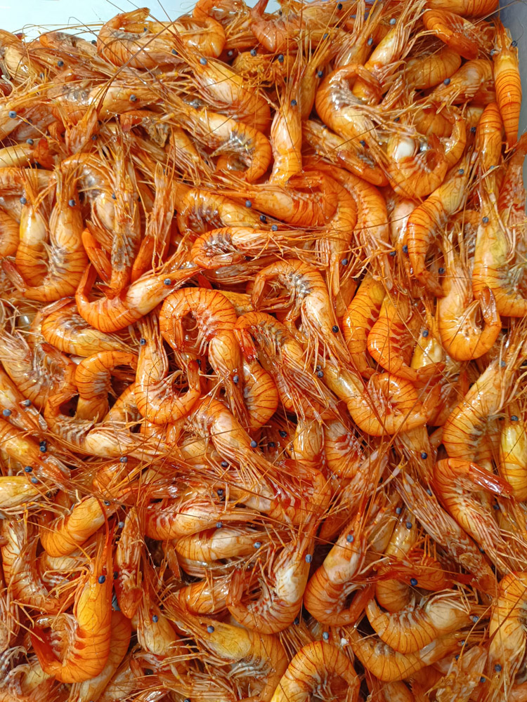 restaurante en Úbeda, tapería en Úbeda, tapería de mercado en Úbeda, tapas en Úbeda, restaurante de temporada en Úbeda, dónde comer en Úbeda, cocina de mercado en Jaén, tapas y raciones en Úbeda, restaurante bruki, bruki, bruky, restaurante en Úbeda centro, tapas en Úbeda casco histórico, bar-coctelería en Plaza de San Pedro Úbeda, cócteles en Úbeda casco antiguo, restaurante moderno Úbeda centro, restaurante lupone, lupone, Tiendas gourmet en Úbeda, delicatessen Úbeda, jamones ibéricos premium Úbeda, quesos artesanales Úbeda, embutidos ibéricos de calidad Úbeda, productos gourmet Jaén, hestia, estia