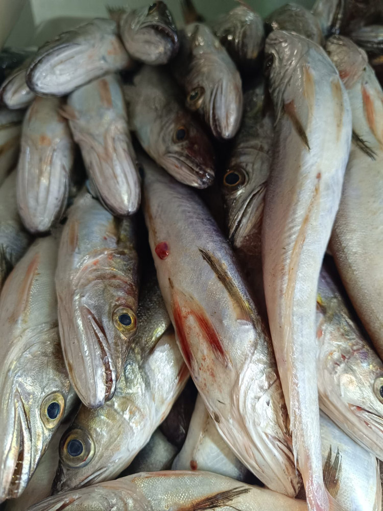 restaurante en Úbeda, tapería en Úbeda, tapería de mercado en Úbeda, tapas en Úbeda, restaurante de temporada en Úbeda, dónde comer en Úbeda, cocina de mercado en Jaén, tapas y raciones en Úbeda, restaurante bruki, bruki, bruky, restaurante en Úbeda centro, tapas en Úbeda casco histórico, bar-coctelería en Plaza de San Pedro Úbeda, cócteles en Úbeda casco antiguo, restaurante moderno Úbeda centro, restaurante lupone, lupone, Tiendas gourmet en Úbeda, delicatessen Úbeda, jamones ibéricos premium Úbeda, quesos artesanales Úbeda, embutidos ibéricos de calidad Úbeda, productos gourmet Jaén, hestia, estia