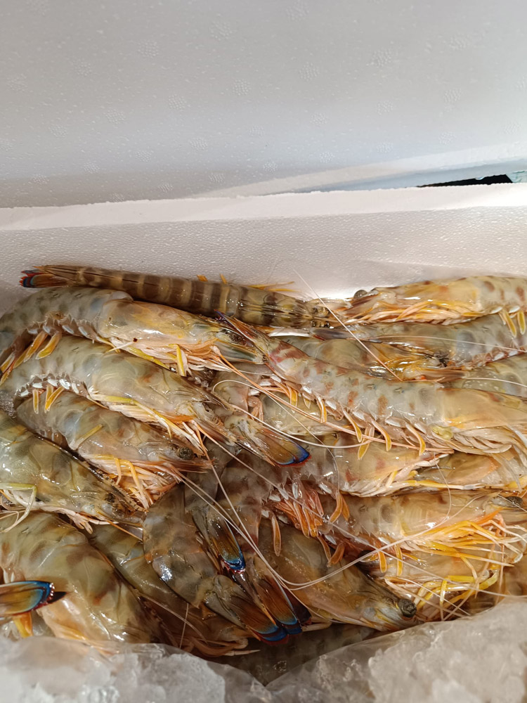 restaurante en Úbeda, tapería en Úbeda, tapería de mercado en Úbeda, tapas en Úbeda, restaurante de temporada en Úbeda, dónde comer en Úbeda, cocina de mercado en Jaén, tapas y raciones en Úbeda, restaurante bruki, bruki, bruky, restaurante en Úbeda centro, tapas en Úbeda casco histórico, bar-coctelería en Plaza de San Pedro Úbeda, cócteles en Úbeda casco antiguo, restaurante moderno Úbeda centro, restaurante lupone, lupone, Tiendas gourmet en Úbeda, delicatessen Úbeda, jamones ibéricos premium Úbeda, quesos artesanales Úbeda, embutidos ibéricos de calidad Úbeda, productos gourmet Jaén, hestia, estia