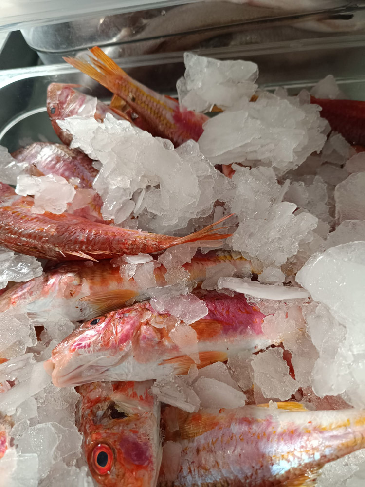 restaurante en Úbeda, tapería en Úbeda, tapería de mercado en Úbeda, tapas en Úbeda, restaurante de temporada en Úbeda, dónde comer en Úbeda, cocina de mercado en Jaén, tapas y raciones en Úbeda, restaurante bruki, bruki, bruky, restaurante en Úbeda centro, tapas en Úbeda casco histórico, bar-coctelería en Plaza de San Pedro Úbeda, cócteles en Úbeda casco antiguo, restaurante moderno Úbeda centro, restaurante lupone, lupone, Tiendas gourmet en Úbeda, delicatessen Úbeda, jamones ibéricos premium Úbeda, quesos artesanales Úbeda, embutidos ibéricos de calidad Úbeda, productos gourmet Jaén, hestia, estia