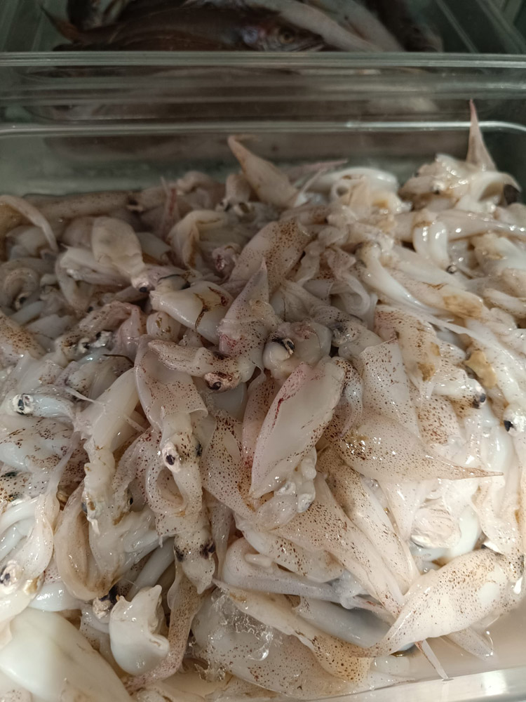 restaurante en Úbeda, tapería en Úbeda, tapería de mercado en Úbeda, tapas en Úbeda, restaurante de temporada en Úbeda, dónde comer en Úbeda, cocina de mercado en Jaén, tapas y raciones en Úbeda, restaurante bruki, bruki, bruky, restaurante en Úbeda centro, tapas en Úbeda casco histórico, bar-coctelería en Plaza de San Pedro Úbeda, cócteles en Úbeda casco antiguo, restaurante moderno Úbeda centro, restaurante lupone, lupone, Tiendas gourmet en Úbeda, delicatessen Úbeda, jamones ibéricos premium Úbeda, quesos artesanales Úbeda, embutidos ibéricos de calidad Úbeda, productos gourmet Jaén, hestia, estia