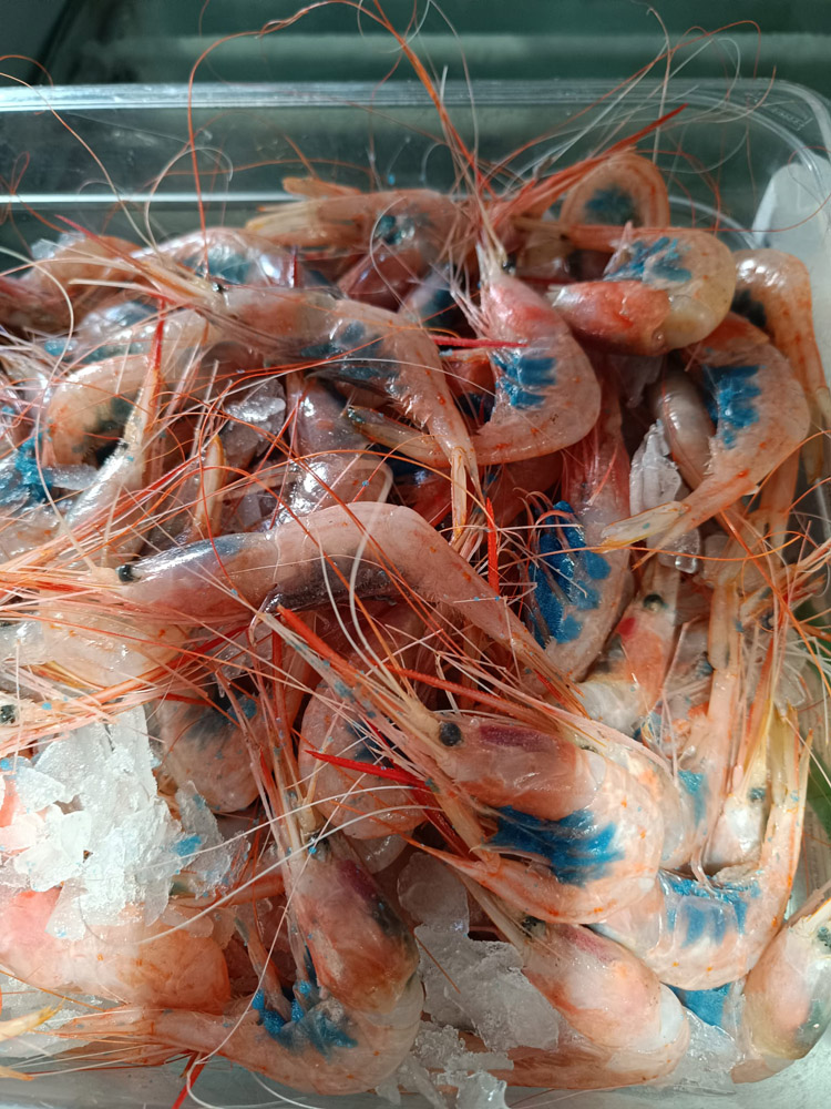 restaurante en Úbeda, tapería en Úbeda, tapería de mercado en Úbeda, tapas en Úbeda, restaurante de temporada en Úbeda, dónde comer en Úbeda, cocina de mercado en Jaén, tapas y raciones en Úbeda, restaurante bruki, bruki, bruky, restaurante en Úbeda centro, tapas en Úbeda casco histórico, bar-coctelería en Plaza de San Pedro Úbeda, cócteles en Úbeda casco antiguo, restaurante moderno Úbeda centro, restaurante lupone, lupone, Tiendas gourmet en Úbeda, delicatessen Úbeda, jamones ibéricos premium Úbeda, quesos artesanales Úbeda, embutidos ibéricos de calidad Úbeda, productos gourmet Jaén, hestia, estia