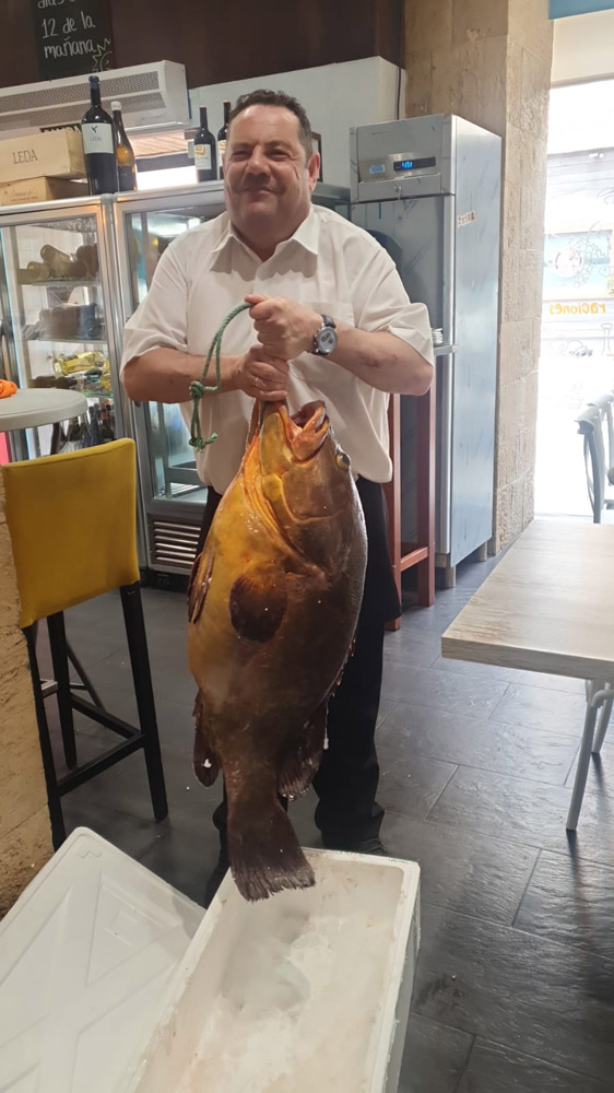 restaurante en Úbeda, tapería en Úbeda, tapería de mercado en Úbeda, tapas en Úbeda, restaurante de temporada en Úbeda, dónde comer en Úbeda, cocina de mercado en Jaén, tapas y raciones en Úbeda, restaurante bruki, bruki, bruky, restaurante en Úbeda centro, tapas en Úbeda casco histórico, bar-coctelería en Plaza de San Pedro Úbeda, cócteles en Úbeda casco antiguo, restaurante moderno Úbeda centro, restaurante lupone, lupone, Tiendas gourmet en Úbeda, delicatessen Úbeda, jamones ibéricos premium Úbeda, quesos artesanales Úbeda, embutidos ibéricos de calidad Úbeda, productos gourmet Jaén, hestia, estia