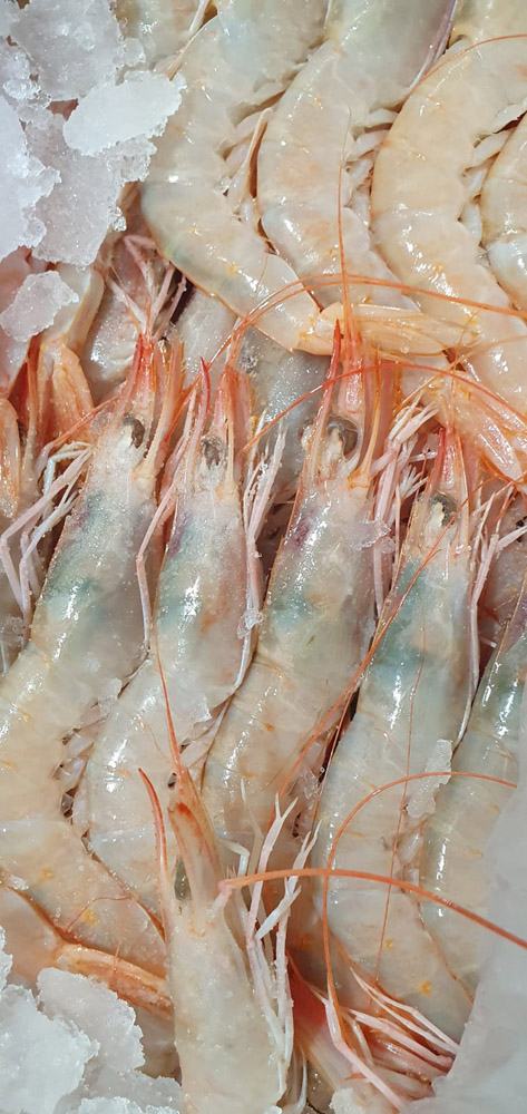 restaurante en Úbeda, tapería en Úbeda, tapería de mercado en Úbeda, tapas en Úbeda, restaurante de temporada en Úbeda, dónde comer en Úbeda, cocina de mercado en Jaén, tapas y raciones en Úbeda, restaurante bruki, bruki, bruky, restaurante en Úbeda centro, tapas en Úbeda casco histórico, bar-coctelería en Plaza de San Pedro Úbeda, cócteles en Úbeda casco antiguo, restaurante moderno Úbeda centro, restaurante lupone, lupone, Tiendas gourmet en Úbeda, delicatessen Úbeda, jamones ibéricos premium Úbeda, quesos artesanales Úbeda, embutidos ibéricos de calidad Úbeda, productos gourmet Jaén, hestia, estia