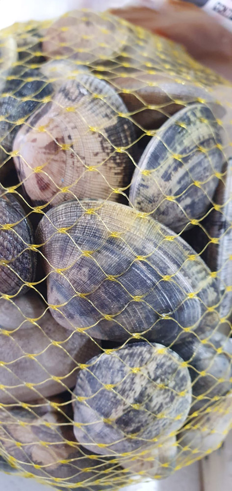 restaurante en Úbeda, tapería en Úbeda, tapería de mercado en Úbeda, tapas en Úbeda, restaurante de temporada en Úbeda, dónde comer en Úbeda, cocina de mercado en Jaén, tapas y raciones en Úbeda, restaurante bruki, bruki, bruky, restaurante en Úbeda centro, tapas en Úbeda casco histórico, bar-coctelería en Plaza de San Pedro Úbeda, cócteles en Úbeda casco antiguo, restaurante moderno Úbeda centro, restaurante lupone, lupone, Tiendas gourmet en Úbeda, delicatessen Úbeda, jamones ibéricos premium Úbeda, quesos artesanales Úbeda, embutidos ibéricos de calidad Úbeda, productos gourmet Jaén, hestia, estia