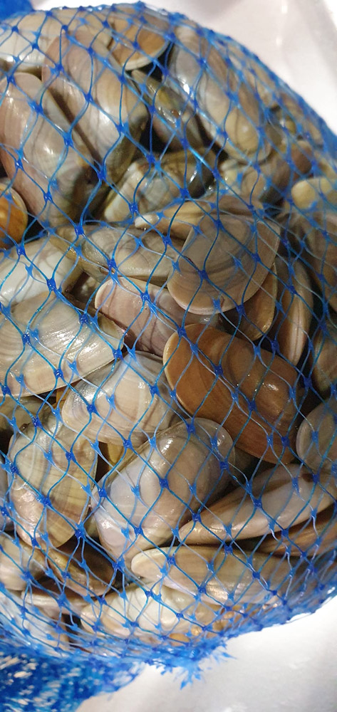 restaurante en Úbeda, tapería en Úbeda, tapería de mercado en Úbeda, tapas en Úbeda, restaurante de temporada en Úbeda, dónde comer en Úbeda, cocina de mercado en Jaén, tapas y raciones en Úbeda, restaurante bruki, bruki, bruky, restaurante en Úbeda centro, tapas en Úbeda casco histórico, bar-coctelería en Plaza de San Pedro Úbeda, cócteles en Úbeda casco antiguo, restaurante moderno Úbeda centro, restaurante lupone, lupone, Tiendas gourmet en Úbeda, delicatessen Úbeda, jamones ibéricos premium Úbeda, quesos artesanales Úbeda, embutidos ibéricos de calidad Úbeda, productos gourmet Jaén, hestia, estia