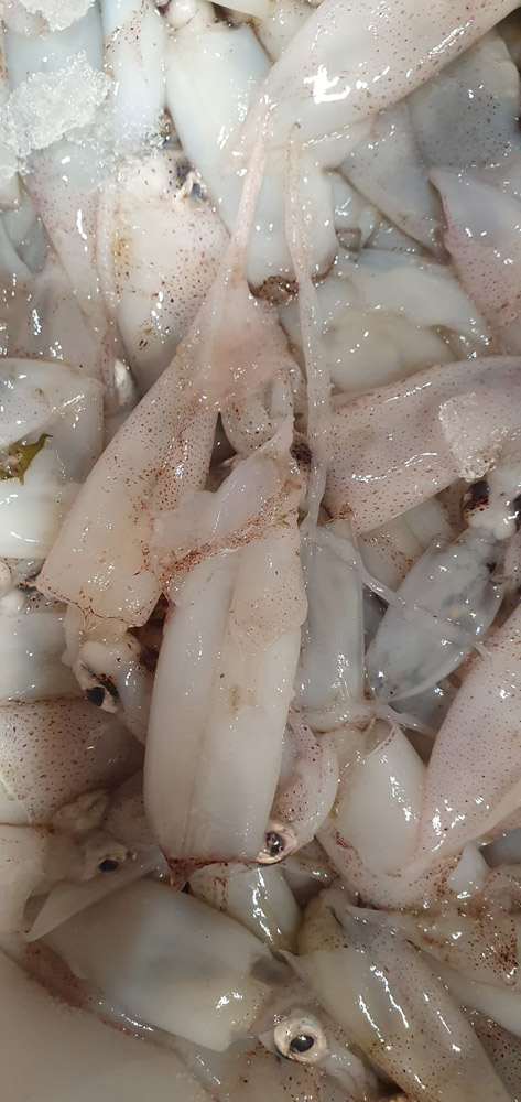 restaurante en Úbeda, tapería en Úbeda, tapería de mercado en Úbeda, tapas en Úbeda, restaurante de temporada en Úbeda, dónde comer en Úbeda, cocina de mercado en Jaén, tapas y raciones en Úbeda, restaurante bruki, bruki, bruky, restaurante en Úbeda centro, tapas en Úbeda casco histórico, bar-coctelería en Plaza de San Pedro Úbeda, cócteles en Úbeda casco antiguo, restaurante moderno Úbeda centro, restaurante lupone, lupone, Tiendas gourmet en Úbeda, delicatessen Úbeda, jamones ibéricos premium Úbeda, quesos artesanales Úbeda, embutidos ibéricos de calidad Úbeda, productos gourmet Jaén, hestia, estia