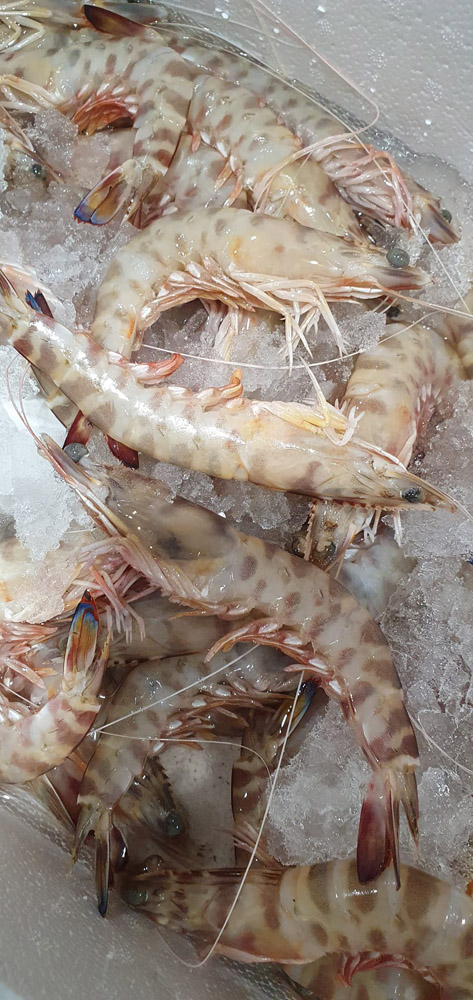 restaurante en Úbeda, tapería en Úbeda, tapería de mercado en Úbeda, tapas en Úbeda, restaurante de temporada en Úbeda, dónde comer en Úbeda, cocina de mercado en Jaén, tapas y raciones en Úbeda, restaurante bruki, bruki, bruky, restaurante en Úbeda centro, tapas en Úbeda casco histórico, bar-coctelería en Plaza de San Pedro Úbeda, cócteles en Úbeda casco antiguo, restaurante moderno Úbeda centro, restaurante lupone, lupone, Tiendas gourmet en Úbeda, delicatessen Úbeda, jamones ibéricos premium Úbeda, quesos artesanales Úbeda, embutidos ibéricos de calidad Úbeda, productos gourmet Jaén, hestia, estia