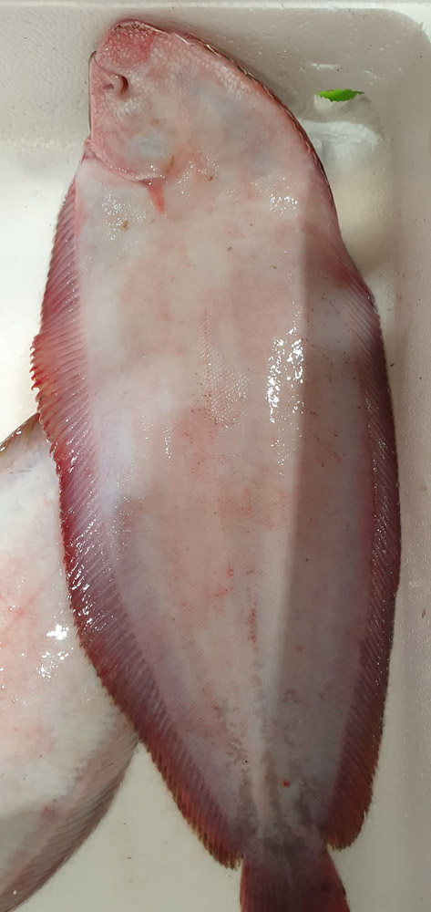 restaurante en Úbeda, tapería en Úbeda, tapería de mercado en Úbeda, tapas en Úbeda, restaurante de temporada en Úbeda, dónde comer en Úbeda, cocina de mercado en Jaén, tapas y raciones en Úbeda, restaurante bruki, bruki, bruky, restaurante en Úbeda centro, tapas en Úbeda casco histórico, bar-coctelería en Plaza de San Pedro Úbeda, cócteles en Úbeda casco antiguo, restaurante moderno Úbeda centro, restaurante lupone, lupone, Tiendas gourmet en Úbeda, delicatessen Úbeda, jamones ibéricos premium Úbeda, quesos artesanales Úbeda, embutidos ibéricos de calidad Úbeda, productos gourmet Jaén, hestia, estia