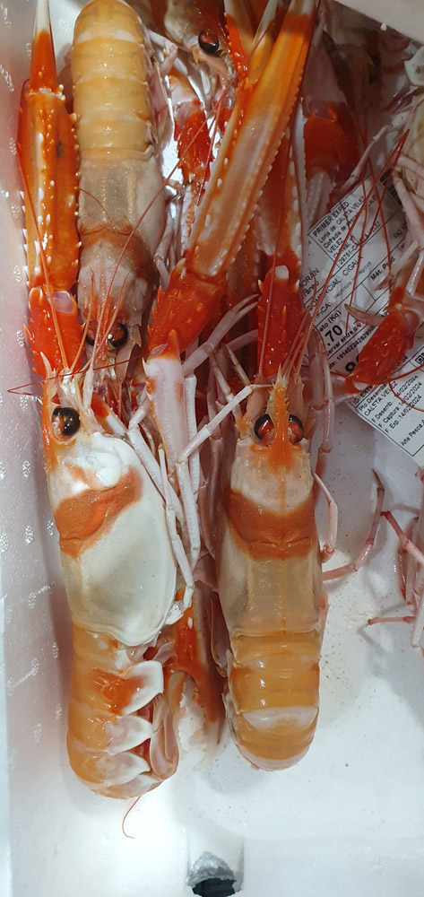 restaurante en Úbeda, tapería en Úbeda, tapería de mercado en Úbeda, tapas en Úbeda, restaurante de temporada en Úbeda, dónde comer en Úbeda, cocina de mercado en Jaén, tapas y raciones en Úbeda, restaurante bruki, bruki, bruky, restaurante en Úbeda centro, tapas en Úbeda casco histórico, bar-coctelería en Plaza de San Pedro Úbeda, cócteles en Úbeda casco antiguo, restaurante moderno Úbeda centro, restaurante lupone, lupone, Tiendas gourmet en Úbeda, delicatessen Úbeda, jamones ibéricos premium Úbeda, quesos artesanales Úbeda, embutidos ibéricos de calidad Úbeda, productos gourmet Jaén, hestia, estia