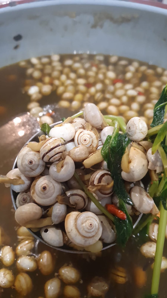 restaurante en Úbeda, tapería en Úbeda, tapería de mercado en Úbeda, tapas en Úbeda, restaurante de temporada en Úbeda, dónde comer en Úbeda, cocina de mercado en Jaén, tapas y raciones en Úbeda, restaurante bruki, bruki, bruky, restaurante en Úbeda centro, tapas en Úbeda casco histórico, bar-coctelería en Plaza de San Pedro Úbeda, cócteles en Úbeda casco antiguo, restaurante moderno Úbeda centro, restaurante lupone, lupone, Tiendas gourmet en Úbeda, delicatessen Úbeda, jamones ibéricos premium Úbeda, quesos artesanales Úbeda, embutidos ibéricos de calidad Úbeda, productos gourmet Jaén, hestia, estia