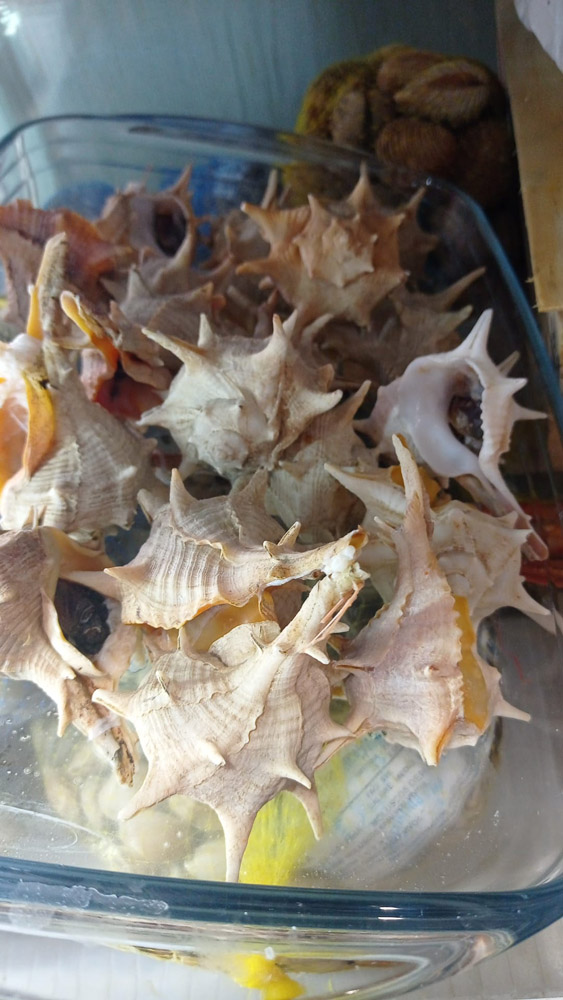 restaurante en Úbeda, tapería en Úbeda, tapería de mercado en Úbeda, tapas en Úbeda, restaurante de temporada en Úbeda, dónde comer en Úbeda, cocina de mercado en Jaén, tapas y raciones en Úbeda, restaurante bruki, bruki, bruky, restaurante en Úbeda centro, tapas en Úbeda casco histórico, bar-coctelería en Plaza de San Pedro Úbeda, cócteles en Úbeda casco antiguo, restaurante moderno Úbeda centro, restaurante lupone, lupone, Tiendas gourmet en Úbeda, delicatessen Úbeda, jamones ibéricos premium Úbeda, quesos artesanales Úbeda, embutidos ibéricos de calidad Úbeda, productos gourmet Jaén, hestia, estia