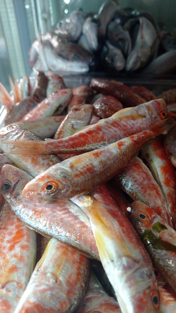 restaurante en Úbeda, tapería en Úbeda, tapería de mercado en Úbeda, tapas en Úbeda, restaurante de temporada en Úbeda, dónde comer en Úbeda, cocina de mercado en Jaén, tapas y raciones en Úbeda, restaurante bruki, bruki, bruky, restaurante en Úbeda centro, tapas en Úbeda casco histórico, bar-coctelería en Plaza de San Pedro Úbeda, cócteles en Úbeda casco antiguo, restaurante moderno Úbeda centro, restaurante lupone, lupone, Tiendas gourmet en Úbeda, delicatessen Úbeda, jamones ibéricos premium Úbeda, quesos artesanales Úbeda, embutidos ibéricos de calidad Úbeda, productos gourmet Jaén, hestia, estia