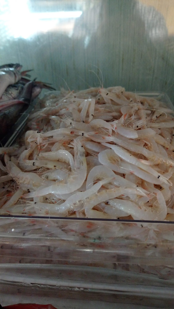 restaurante en Úbeda, tapería en Úbeda, tapería de mercado en Úbeda, tapas en Úbeda, restaurante de temporada en Úbeda, dónde comer en Úbeda, cocina de mercado en Jaén, tapas y raciones en Úbeda, restaurante bruki, bruki, bruky, restaurante en Úbeda centro, tapas en Úbeda casco histórico, bar-coctelería en Plaza de San Pedro Úbeda, cócteles en Úbeda casco antiguo, restaurante moderno Úbeda centro, restaurante lupone, lupone, Tiendas gourmet en Úbeda, delicatessen Úbeda, jamones ibéricos premium Úbeda, quesos artesanales Úbeda, embutidos ibéricos de calidad Úbeda, productos gourmet Jaén, hestia, estia