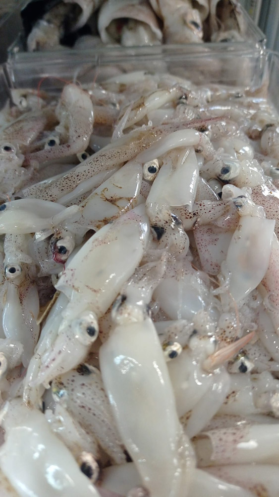 restaurante en Úbeda, tapería en Úbeda, tapería de mercado en Úbeda, tapas en Úbeda, restaurante de temporada en Úbeda, dónde comer en Úbeda, cocina de mercado en Jaén, tapas y raciones en Úbeda, restaurante bruki, bruki, bruky, restaurante en Úbeda centro, tapas en Úbeda casco histórico, bar-coctelería en Plaza de San Pedro Úbeda, cócteles en Úbeda casco antiguo, restaurante moderno Úbeda centro, restaurante lupone, lupone, Tiendas gourmet en Úbeda, delicatessen Úbeda, jamones ibéricos premium Úbeda, quesos artesanales Úbeda, embutidos ibéricos de calidad Úbeda, productos gourmet Jaén, hestia, estia