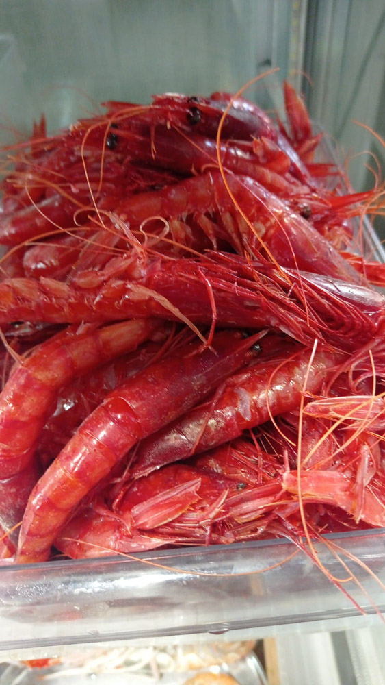 restaurante en Úbeda, tapería en Úbeda, tapería de mercado en Úbeda, tapas en Úbeda, restaurante de temporada en Úbeda, dónde comer en Úbeda, cocina de mercado en Jaén, tapas y raciones en Úbeda, restaurante bruki, bruki, bruky, restaurante en Úbeda centro, tapas en Úbeda casco histórico, bar-coctelería en Plaza de San Pedro Úbeda, cócteles en Úbeda casco antiguo, restaurante moderno Úbeda centro, restaurante lupone, lupone, Tiendas gourmet en Úbeda, delicatessen Úbeda, jamones ibéricos premium Úbeda, quesos artesanales Úbeda, embutidos ibéricos de calidad Úbeda, productos gourmet Jaén, hestia, estia