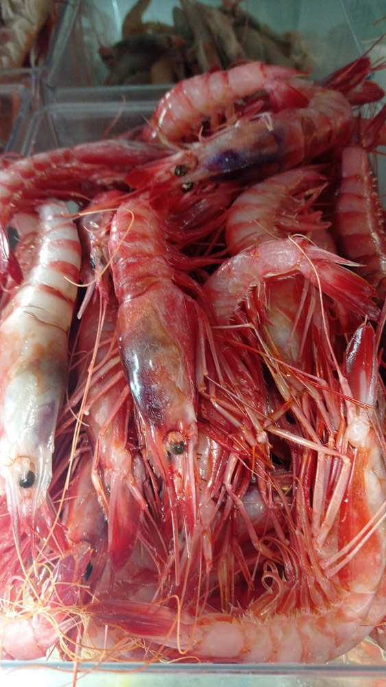 restaurante en Úbeda, tapería en Úbeda, tapería de mercado en Úbeda, tapas en Úbeda, restaurante de temporada en Úbeda, dónde comer en Úbeda, cocina de mercado en Jaén, tapas y raciones en Úbeda, restaurante bruki, bruki, bruky, restaurante en Úbeda centro, tapas en Úbeda casco histórico, bar-coctelería en Plaza de San Pedro Úbeda, cócteles en Úbeda casco antiguo, restaurante moderno Úbeda centro, restaurante lupone, lupone, Tiendas gourmet en Úbeda, delicatessen Úbeda, jamones ibéricos premium Úbeda, quesos artesanales Úbeda, embutidos ibéricos de calidad Úbeda, productos gourmet Jaén, hestia, estia