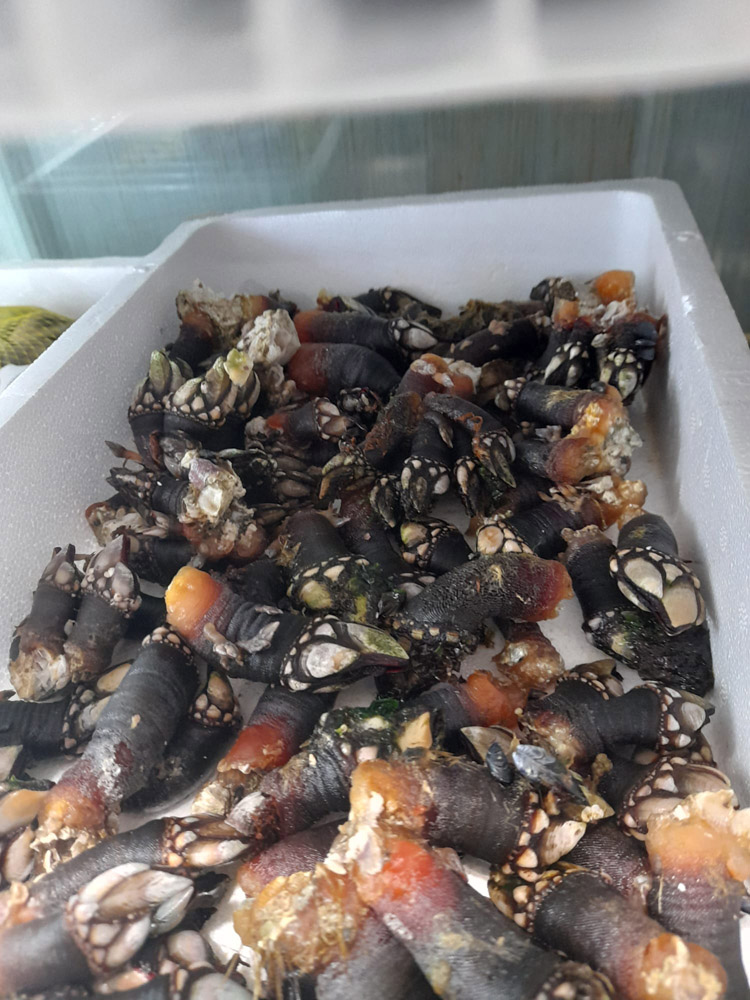 restaurante en Úbeda, tapería en Úbeda, tapería de mercado en Úbeda, tapas en Úbeda, restaurante de temporada en Úbeda, dónde comer en Úbeda, cocina de mercado en Jaén, tapas y raciones en Úbeda, restaurante bruki, bruki, bruky, restaurante en Úbeda centro, tapas en Úbeda casco histórico, bar-coctelería en Plaza de San Pedro Úbeda, cócteles en Úbeda casco antiguo, restaurante moderno Úbeda centro, restaurante lupone, lupone, Tiendas gourmet en Úbeda, delicatessen Úbeda, jamones ibéricos premium Úbeda, quesos artesanales Úbeda, embutidos ibéricos de calidad Úbeda, productos gourmet Jaén, hestia, estia