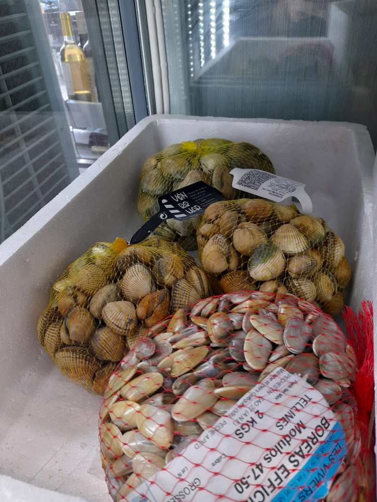 restaurante en Úbeda, tapería en Úbeda, tapería de mercado en Úbeda, tapas en Úbeda, restaurante de temporada en Úbeda, dónde comer en Úbeda, cocina de mercado en Jaén, tapas y raciones en Úbeda, restaurante bruki, bruki, bruky, restaurante en Úbeda centro, tapas en Úbeda casco histórico, bar-coctelería en Plaza de San Pedro Úbeda, cócteles en Úbeda casco antiguo, restaurante moderno Úbeda centro, restaurante lupone, lupone, Tiendas gourmet en Úbeda, delicatessen Úbeda, jamones ibéricos premium Úbeda, quesos artesanales Úbeda, embutidos ibéricos de calidad Úbeda, productos gourmet Jaén, hestia, estia