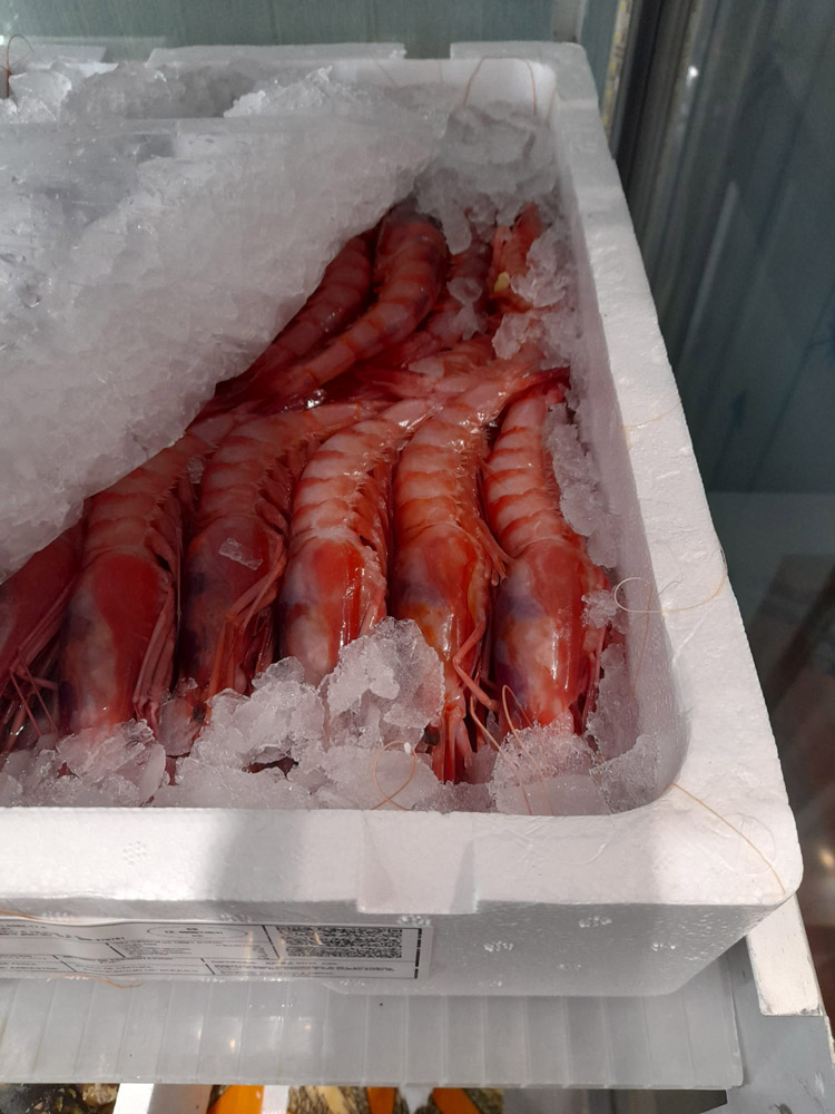 restaurante en Úbeda, tapería en Úbeda, tapería de mercado en Úbeda, tapas en Úbeda, restaurante de temporada en Úbeda, dónde comer en Úbeda, cocina de mercado en Jaén, tapas y raciones en Úbeda, restaurante bruki, bruki, bruky, restaurante en Úbeda centro, tapas en Úbeda casco histórico, bar-coctelería en Plaza de San Pedro Úbeda, cócteles en Úbeda casco antiguo, restaurante moderno Úbeda centro, restaurante lupone, lupone, Tiendas gourmet en Úbeda, delicatessen Úbeda, jamones ibéricos premium Úbeda, quesos artesanales Úbeda, embutidos ibéricos de calidad Úbeda, productos gourmet Jaén, hestia, estia