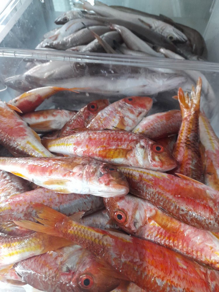 restaurante en Úbeda, tapería en Úbeda, tapería de mercado en Úbeda, tapas en Úbeda, restaurante de temporada en Úbeda, dónde comer en Úbeda, cocina de mercado en Jaén, tapas y raciones en Úbeda, restaurante bruki, bruki, bruky, restaurante en Úbeda centro, tapas en Úbeda casco histórico, bar-coctelería en Plaza de San Pedro Úbeda, cócteles en Úbeda casco antiguo, restaurante moderno Úbeda centro, restaurante lupone, lupone, Tiendas gourmet en Úbeda, delicatessen Úbeda, jamones ibéricos premium Úbeda, quesos artesanales Úbeda, embutidos ibéricos de calidad Úbeda, productos gourmet Jaén, hestia, estia