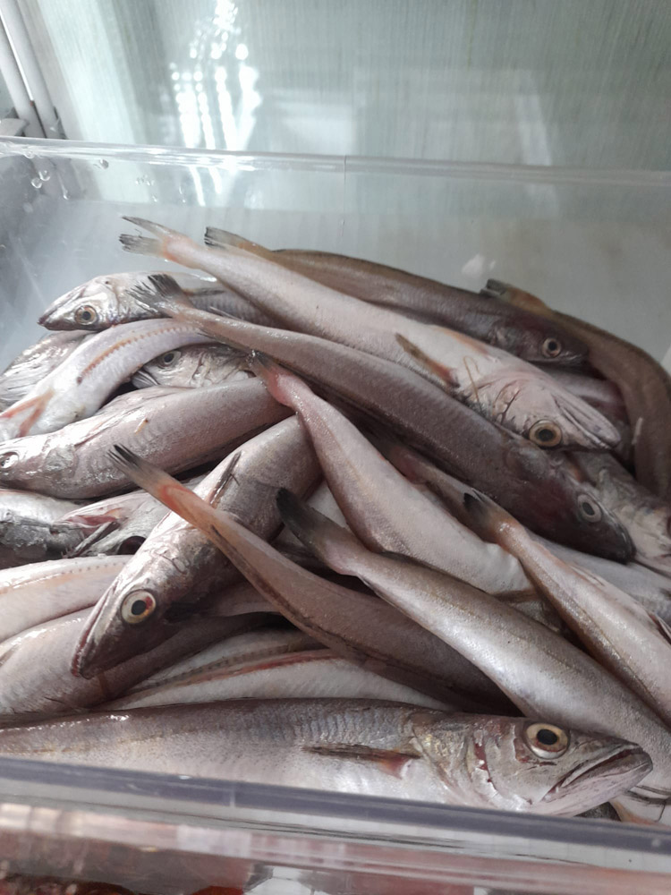 restaurante en Úbeda, tapería en Úbeda, tapería de mercado en Úbeda, tapas en Úbeda, restaurante de temporada en Úbeda, dónde comer en Úbeda, cocina de mercado en Jaén, tapas y raciones en Úbeda, restaurante bruki, bruki, bruky, restaurante en Úbeda centro, tapas en Úbeda casco histórico, bar-coctelería en Plaza de San Pedro Úbeda, cócteles en Úbeda casco antiguo, restaurante moderno Úbeda centro, restaurante lupone, lupone, Tiendas gourmet en Úbeda, delicatessen Úbeda, jamones ibéricos premium Úbeda, quesos artesanales Úbeda, embutidos ibéricos de calidad Úbeda, productos gourmet Jaén, hestia, estia