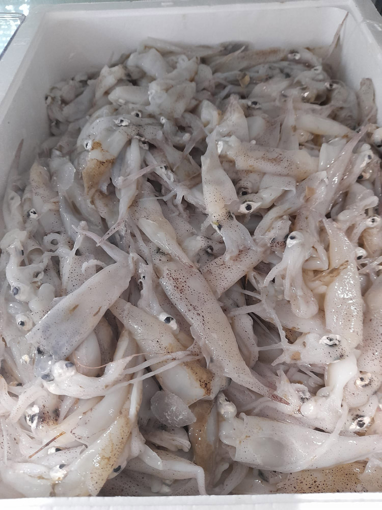 restaurante en Úbeda, tapería en Úbeda, tapería de mercado en Úbeda, tapas en Úbeda, restaurante de temporada en Úbeda, dónde comer en Úbeda, cocina de mercado en Jaén, tapas y raciones en Úbeda, restaurante bruki, bruki, bruky, restaurante en Úbeda centro, tapas en Úbeda casco histórico, bar-coctelería en Plaza de San Pedro Úbeda, cócteles en Úbeda casco antiguo, restaurante moderno Úbeda centro, restaurante lupone, lupone, Tiendas gourmet en Úbeda, delicatessen Úbeda, jamones ibéricos premium Úbeda, quesos artesanales Úbeda, embutidos ibéricos de calidad Úbeda, productos gourmet Jaén, hestia, estia