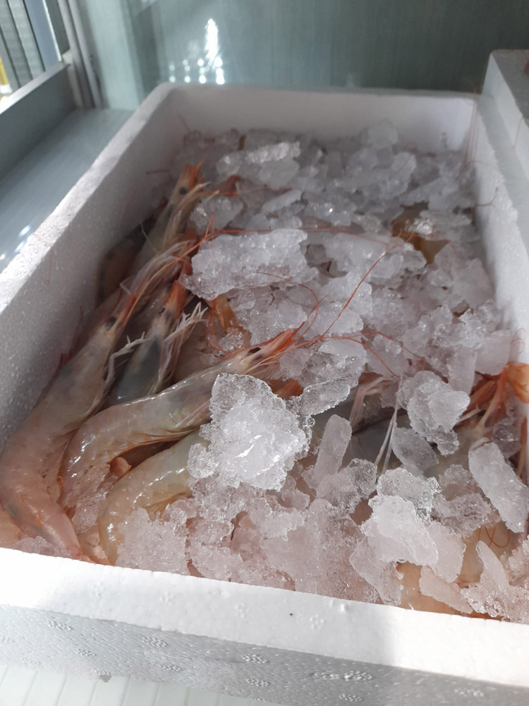 restaurante en Úbeda, tapería en Úbeda, tapería de mercado en Úbeda, tapas en Úbeda, restaurante de temporada en Úbeda, dónde comer en Úbeda, cocina de mercado en Jaén, tapas y raciones en Úbeda, restaurante bruki, bruki, bruky, restaurante en Úbeda centro, tapas en Úbeda casco histórico, bar-coctelería en Plaza de San Pedro Úbeda, cócteles en Úbeda casco antiguo, restaurante moderno Úbeda centro, restaurante lupone, lupone, Tiendas gourmet en Úbeda, delicatessen Úbeda, jamones ibéricos premium Úbeda, quesos artesanales Úbeda, embutidos ibéricos de calidad Úbeda, productos gourmet Jaén, hestia, estia