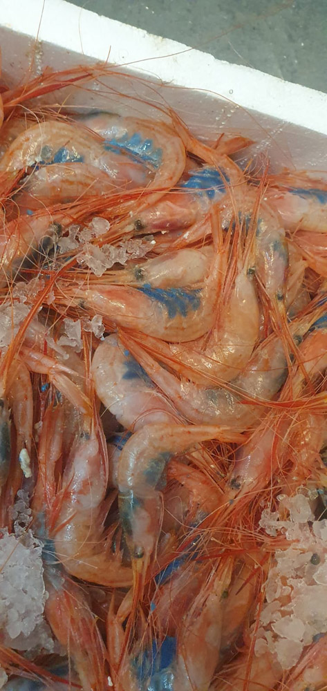 restaurante en Úbeda, tapería en Úbeda, tapería de mercado en Úbeda, tapas en Úbeda, restaurante de temporada en Úbeda, dónde comer en Úbeda, cocina de mercado en Jaén, tapas y raciones en Úbeda, restaurante bruki, bruki, bruky, restaurante en Úbeda centro, tapas en Úbeda casco histórico, bar-coctelería en Plaza de San Pedro Úbeda, cócteles en Úbeda casco antiguo, restaurante moderno Úbeda centro, restaurante lupone, lupone, Tiendas gourmet en Úbeda, delicatessen Úbeda, jamones ibéricos premium Úbeda, quesos artesanales Úbeda, embutidos ibéricos de calidad Úbeda, productos gourmet Jaén, hestia, estia