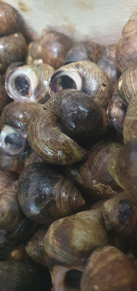 restaurante en Úbeda, tapería en Úbeda, tapería de mercado en Úbeda, tapas en Úbeda, restaurante de temporada en Úbeda, dónde comer en Úbeda, cocina de mercado en Jaén, tapas y raciones en Úbeda, restaurante bruki, bruki, bruky, restaurante en Úbeda centro, tapas en Úbeda casco histórico, bar-coctelería en Plaza de San Pedro Úbeda, cócteles en Úbeda casco antiguo, restaurante moderno Úbeda centro, restaurante lupone, lupone, Tiendas gourmet en Úbeda, delicatessen Úbeda, jamones ibéricos premium Úbeda, quesos artesanales Úbeda, embutidos ibéricos de calidad Úbeda, productos gourmet Jaén, hestia, estia