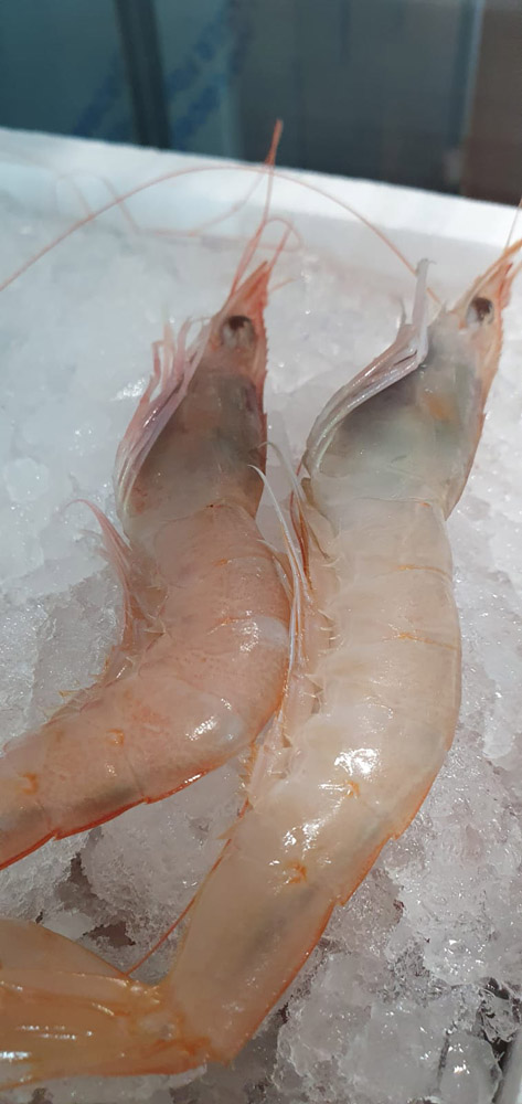 restaurante en Úbeda, tapería en Úbeda, tapería de mercado en Úbeda, tapas en Úbeda, restaurante de temporada en Úbeda, dónde comer en Úbeda, cocina de mercado en Jaén, tapas y raciones en Úbeda, restaurante bruki, bruki, bruky, restaurante en Úbeda centro, tapas en Úbeda casco histórico, bar-coctelería en Plaza de San Pedro Úbeda, cócteles en Úbeda casco antiguo, restaurante moderno Úbeda centro, restaurante lupone, lupone, Tiendas gourmet en Úbeda, delicatessen Úbeda, jamones ibéricos premium Úbeda, quesos artesanales Úbeda, embutidos ibéricos de calidad Úbeda, productos gourmet Jaén, hestia, estia