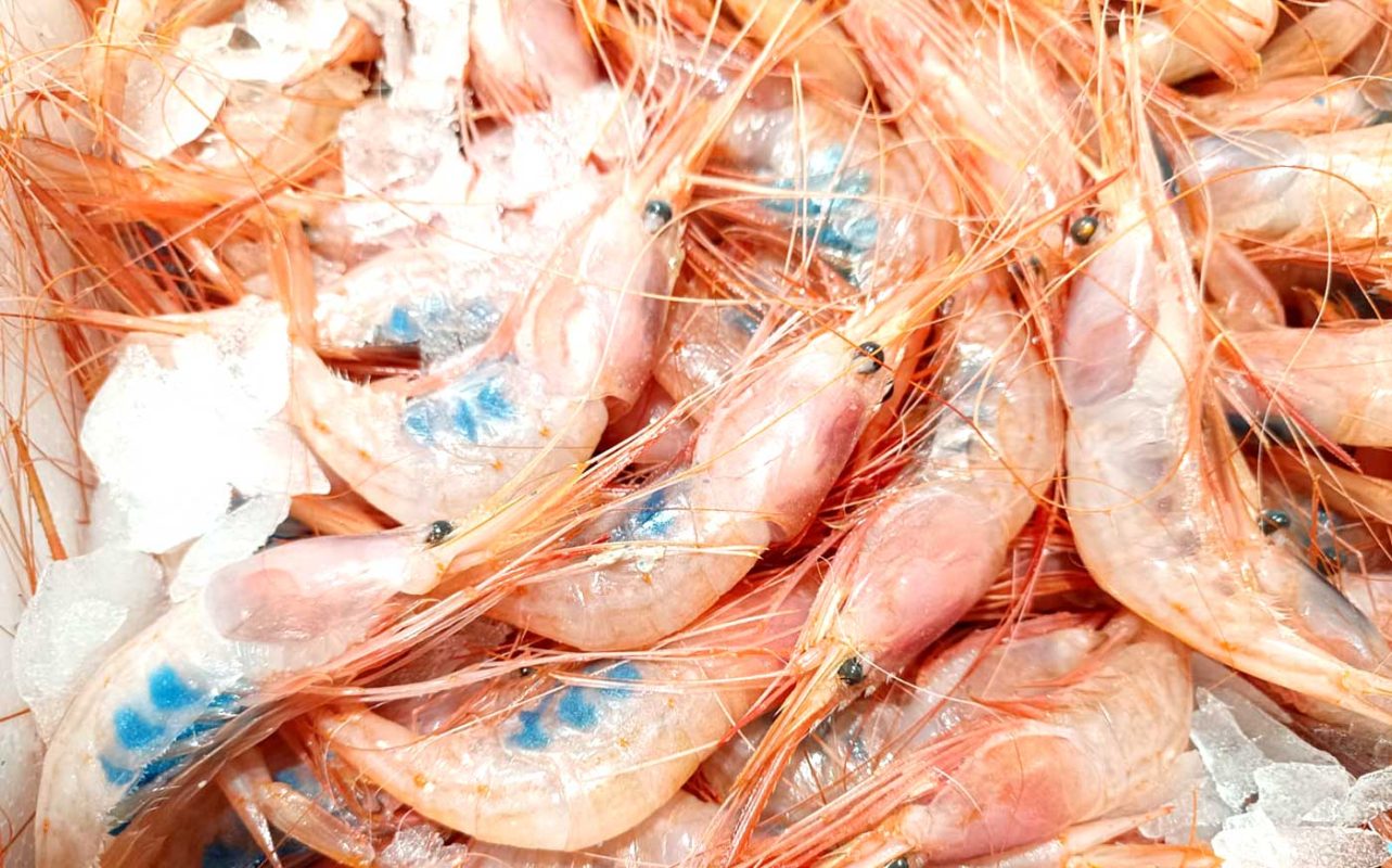 restaurante en Úbeda, tapería en Úbeda, tapería de mercado en Úbeda, tapas en Úbeda, restaurante de temporada en Úbeda, dónde comer en Úbeda, cocina de mercado en Jaén, tapas y raciones en Úbeda, restaurante bruki, bruki, bruky, restaurante en Úbeda centro, tapas en Úbeda casco histórico, bar-coctelería en Plaza de San Pedro Úbeda, cócteles en Úbeda casco antiguo, restaurante moderno Úbeda centro, restaurante lupone, lupone, Tiendas gourmet en Úbeda, delicatessen Úbeda, jamones ibéricos premium Úbeda, quesos artesanales Úbeda, embutidos ibéricos de calidad Úbeda, productos gourmet Jaén, hestia, estia