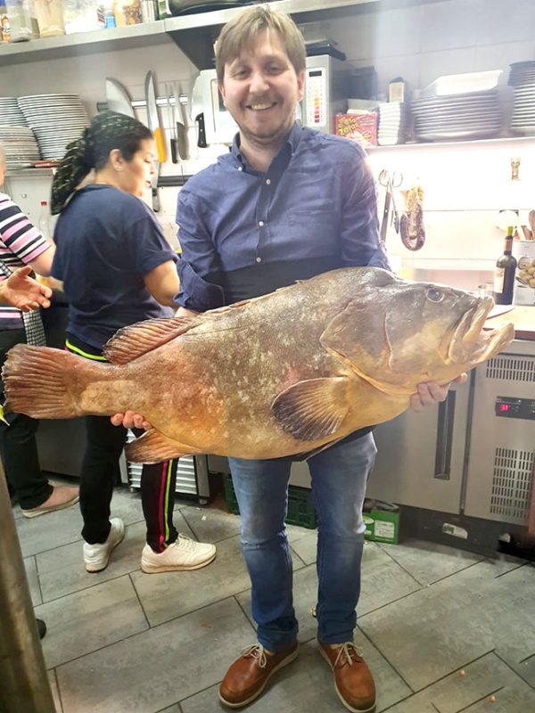 restaurante en Úbeda, tapería en Úbeda, tapería de mercado en Úbeda, tapas en Úbeda, restaurante de temporada en Úbeda, dónde comer en Úbeda, cocina de mercado en Jaén, tapas y raciones en Úbeda, restaurante bruki, bruki, bruky, restaurante en Úbeda centro, tapas en Úbeda casco histórico, bar-coctelería en Plaza de San Pedro Úbeda, cócteles en Úbeda casco antiguo, restaurante moderno Úbeda centro, restaurante lupone, lupone, Tiendas gourmet en Úbeda, delicatessen Úbeda, jamones ibéricos premium Úbeda, quesos artesanales Úbeda, embutidos ibéricos de calidad Úbeda, productos gourmet Jaén, hestia, estia