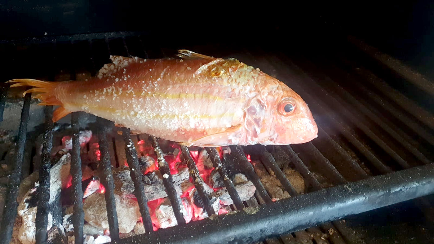 restaurante en Úbeda, tapería en Úbeda, tapería de mercado en Úbeda, tapas en Úbeda, restaurante de temporada en Úbeda, dónde comer en Úbeda, cocina de mercado en Jaén, tapas y raciones en Úbeda, restaurante bruki, bruki, bruky, restaurante en Úbeda centro, tapas en Úbeda casco histórico, bar-coctelería en Plaza de San Pedro Úbeda, cócteles en Úbeda casco antiguo, restaurante moderno Úbeda centro, restaurante lupone, lupone, Tiendas gourmet en Úbeda, delicatessen Úbeda, jamones ibéricos premium Úbeda, quesos artesanales Úbeda, embutidos ibéricos de calidad Úbeda, productos gourmet Jaén, hestia, estia