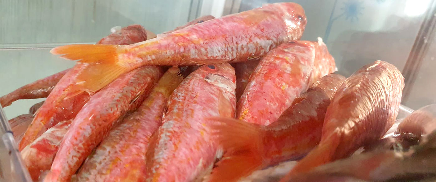 restaurante en Úbeda, tapería en Úbeda, tapería de mercado en Úbeda, tapas en Úbeda, restaurante de temporada en Úbeda, dónde comer en Úbeda, cocina de mercado en Jaén, tapas y raciones en Úbeda, restaurante bruki, bruki, bruky, restaurante en Úbeda centro, tapas en Úbeda casco histórico, bar-coctelería en Plaza de San Pedro Úbeda, cócteles en Úbeda casco antiguo, restaurante moderno Úbeda centro, restaurante lupone, lupone, Tiendas gourmet en Úbeda, delicatessen Úbeda, jamones ibéricos premium Úbeda, quesos artesanales Úbeda, embutidos ibéricos de calidad Úbeda, productos gourmet Jaén, hestia, estia