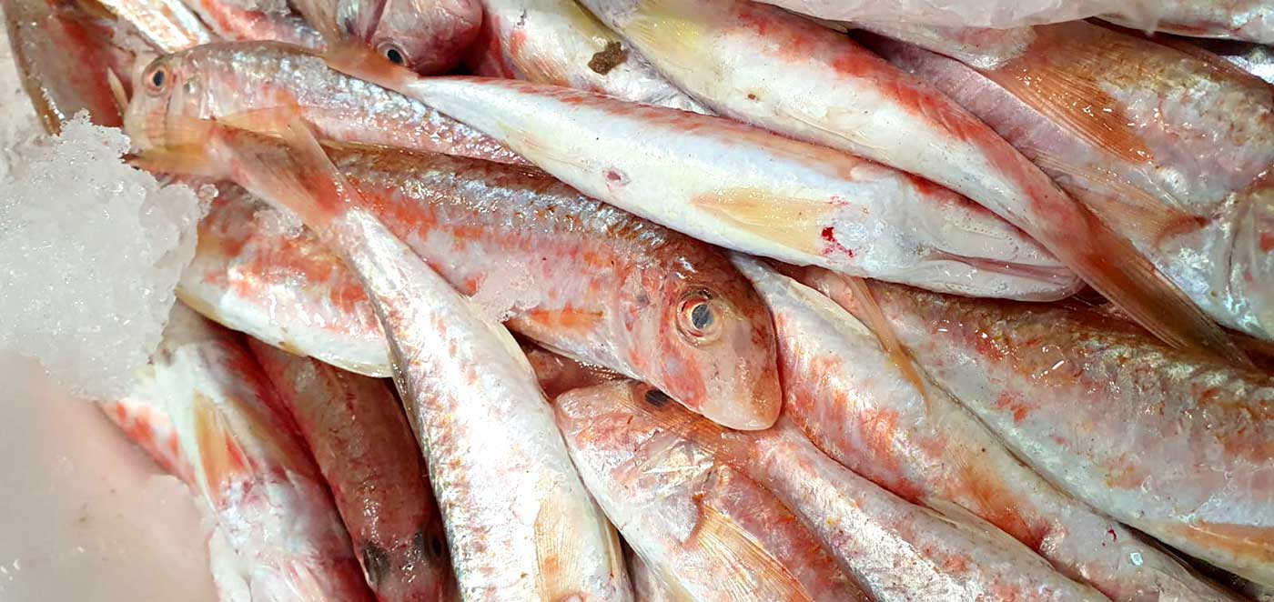 restaurante en Úbeda, tapería en Úbeda, tapería de mercado en Úbeda, tapas en Úbeda, restaurante de temporada en Úbeda, dónde comer en Úbeda, cocina de mercado en Jaén, tapas y raciones en Úbeda, restaurante bruki, bruki, bruky, restaurante en Úbeda centro, tapas en Úbeda casco histórico, bar-coctelería en Plaza de San Pedro Úbeda, cócteles en Úbeda casco antiguo, restaurante moderno Úbeda centro, restaurante lupone, lupone, Tiendas gourmet en Úbeda, delicatessen Úbeda, jamones ibéricos premium Úbeda, quesos artesanales Úbeda, embutidos ibéricos de calidad Úbeda, productos gourmet Jaén, hestia, estia